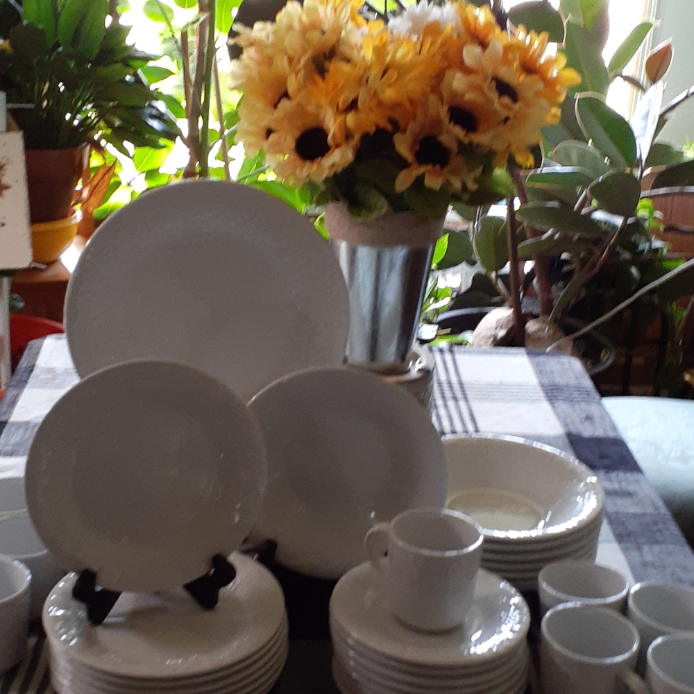 Gibson's Dinner Ware Four Seasons edition